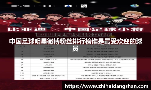 中国足球明星微博粉丝排行榜谁是最受欢迎的球员